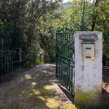 Villino Straccoligno - Goelba